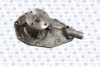 VOLVO 251224804 Water Pump